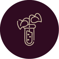 BOTANICAL (17 extracts)