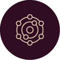 10 ANTIOXIDANTS (incl. Resveratrol)