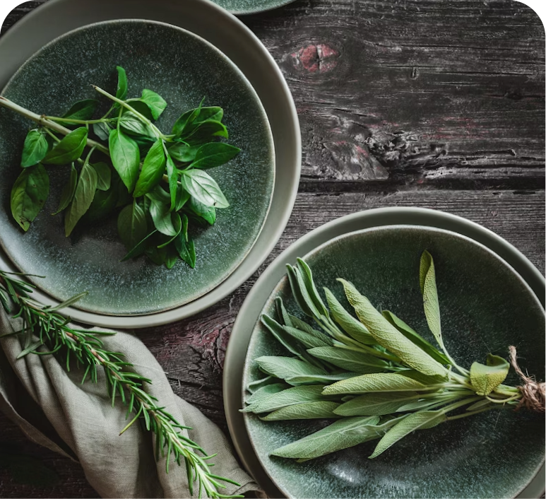 BOTANICAL (17 extracts)